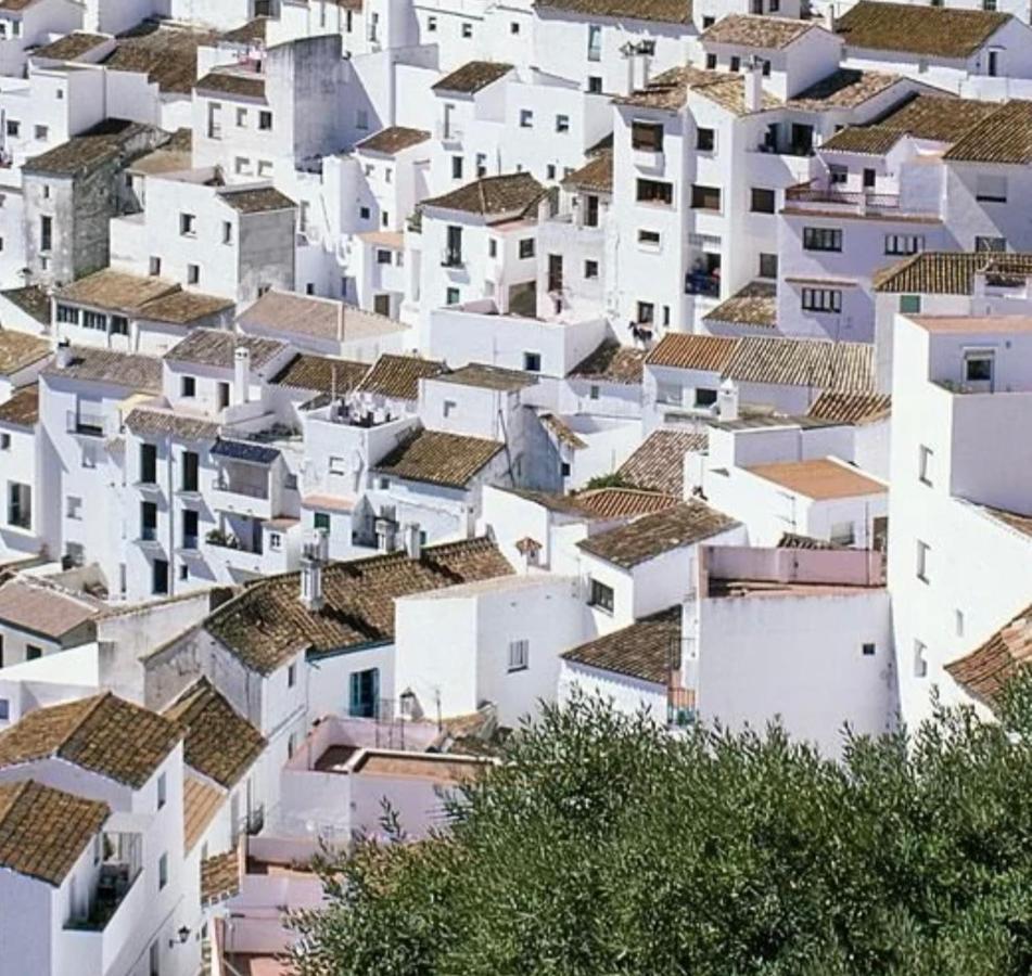 Stylish 3 Bed House 2 Bathrooms, With Patio, Roof Terrace And Communal Pool 5 Minutes Away From The Beautiful Spanish White Village Of Casares Pueblo And Only 20 Mins From The Sea מראה חיצוני תמונה